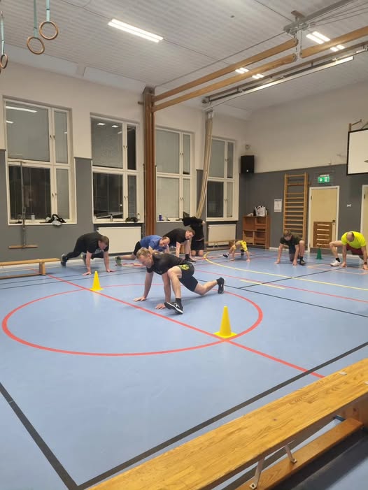 Kan vara en bild av text där det står ”SRK”